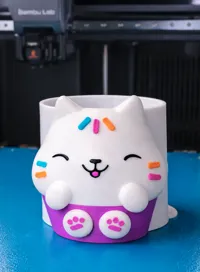 PETG Interface Support