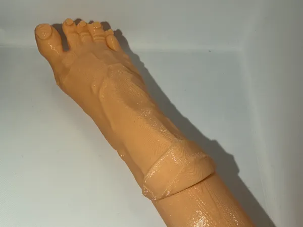 https://makerworld.bblmw.com/makerworld/model/US3cbcf91ecd675f/design/2025-12-14_89441d9e596b8.jpeg