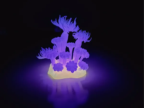 https://makerworld.bblmw.com/makerworld/model/US3cbda46e8e4172/design/2025-06-30_7775623d53ed5.jpg