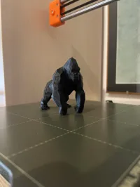 0.12mm layer, 2 walls, 15% infill