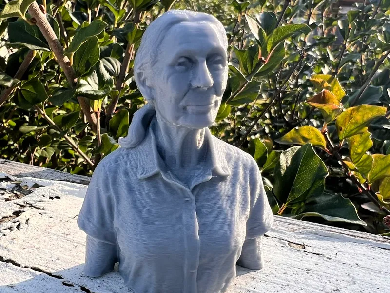Jane Goodall Memorial Bust