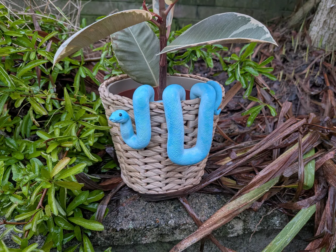 Plant Pot Snake view 3