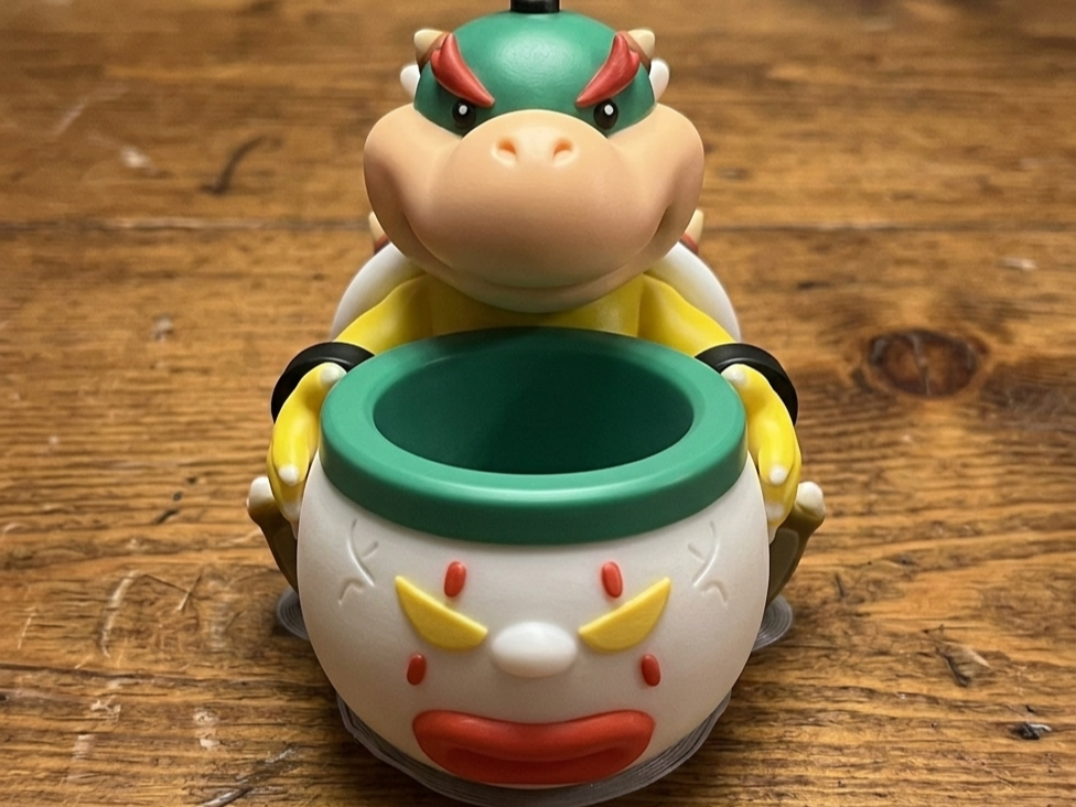 Mini Bowser Palomera
