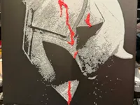 0.08mm layer, 2 walls, 100% infill