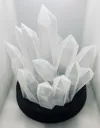 Original: 0.2mm layer, 2 walls, 15% infill, tree supports