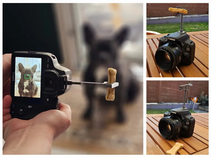 Hot Shoe Pet Portrait Helper