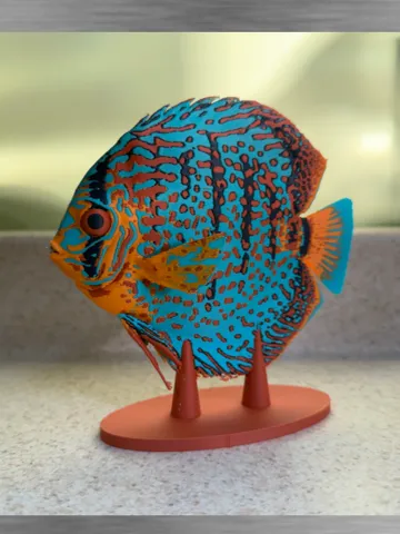 Tapa o cubierta: Turquoise Discus — vista de referencia 2
