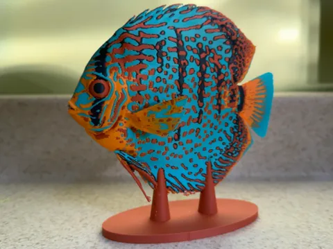 Tapa o cubierta: Turquoise Discus — referencia de MakerWorld