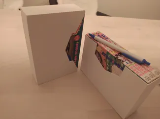 Manga case