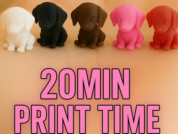 https://makerworld.bblmw.com/makerworld/model/US3cd24f67edf98/design/2025-11-03_75f068ce21d3b8.png