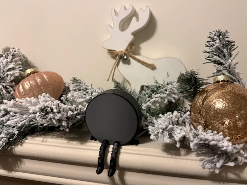 Hockey Puck Shelfy Buddy