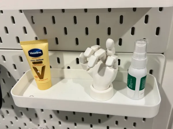 https://makerworld.bblmw.com/makerworld/model/US3cd872edd61857/design/2025-08-17_7ba0b24b41f058.jpg