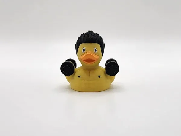 https://makerworld.bblmw.com/makerworld/model/US3cdbd814a13a4/design/2024-12-27_cd58682299fdc.jpeg