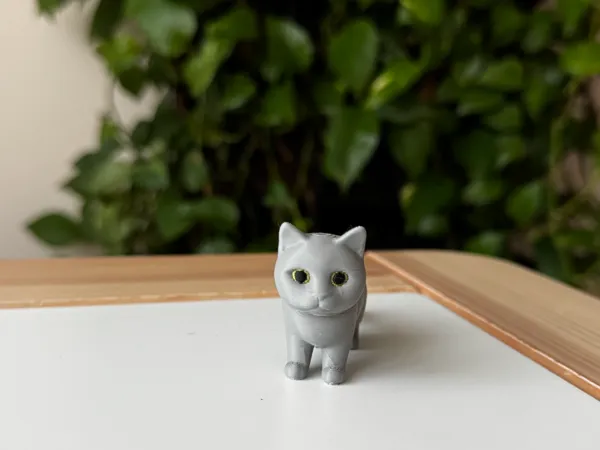 https://makerworld.bblmw.com/makerworld/model/US3cdc2545a00876/design/2025-10-09_9face932106c2.jpeg