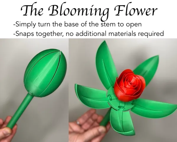 https://makerworld.bblmw.com/makerworld/model/US3cdf223985260f/design/2024-04-28_e3089dda66d8f.jpg