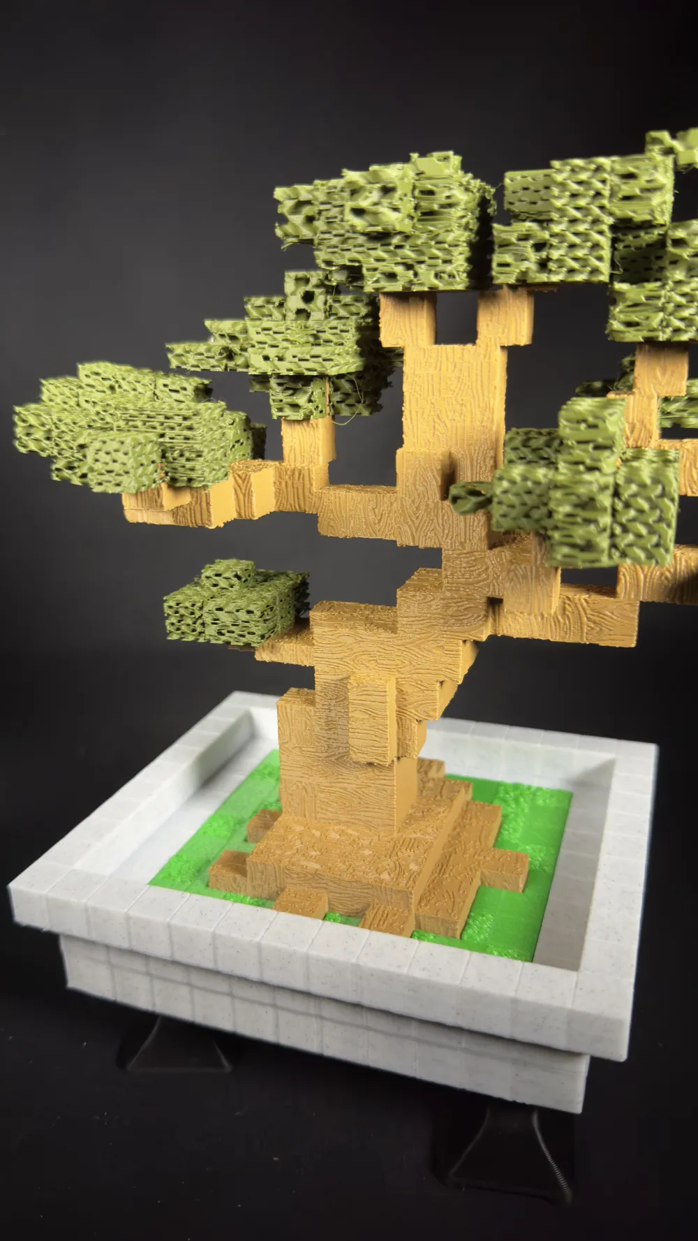 melograno bonsai Bonsai Melograno Nana 7 Anni I Giardini di Giulia  i Giardini di Giulia