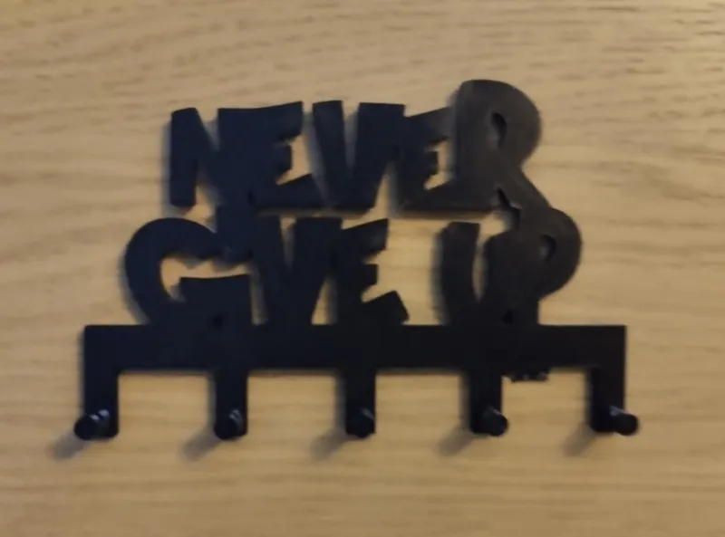 Key Holder/Hanger never give up