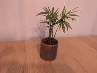 Pot de fleurs moderne avec auto-arrosage optionnel — photo 2