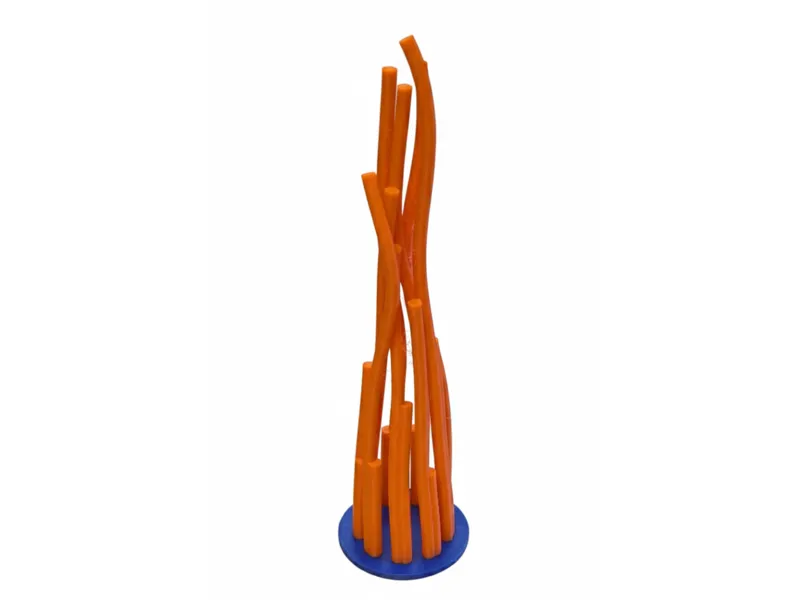 Primary cilium