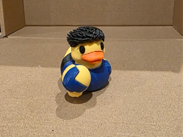 https://makerworld.bblmw.com/makerworld/model/US3cf6337be643f7/design/2025-12-19_477c3cd50be1d8.jpg