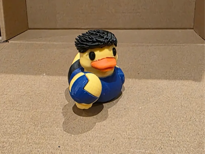Jeep Ducks - volleyball duck(male)
