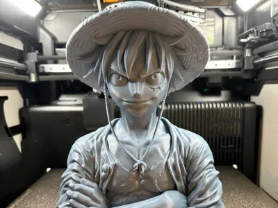 Luffy bust