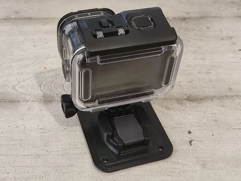 GoPro mount