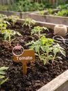3x tomato - AMS Ready - 0.2mm layer, 2 walls, 15% infill