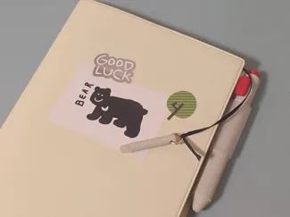 Frixion Eraser Pocket Case