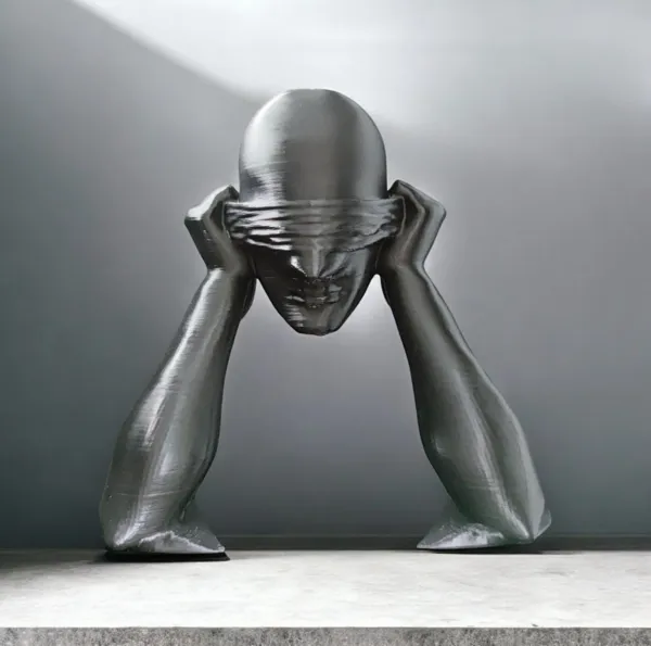 https://makerworld.bblmw.com/makerworld/model/US3d00a92b053425/design/2024-12-09_99b93895c5d4a.png