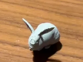 mini rabbit