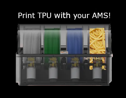 https://makerworld.bblmw.com/makerworld/model/US3d0417a9bba343/design/2024-06-13_f7a58446c88e6.png