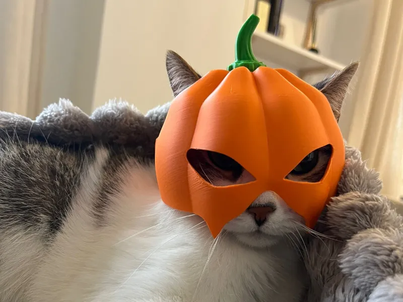 Halloween pumpkin mask for cat