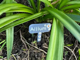 Decorative Plant Labels