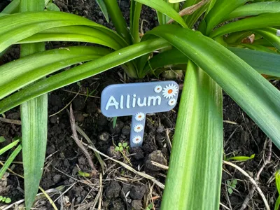 Decorative Plant Labels