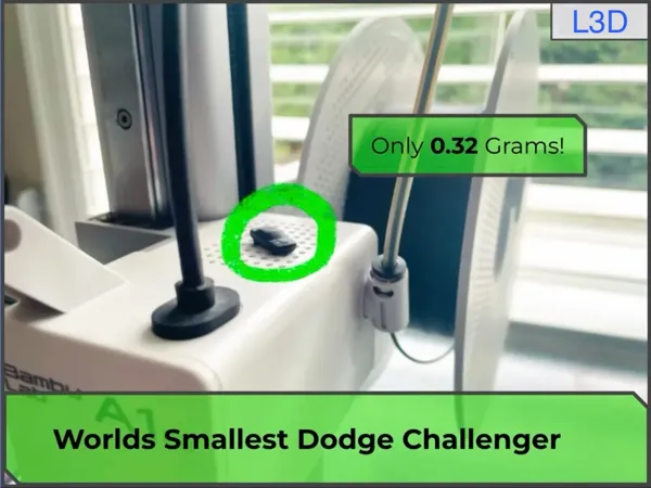 https://makerworld.bblmw.com/makerworld/model/US3d0bd61c16784d/design/5e17d1f3b94c472e.jpeg