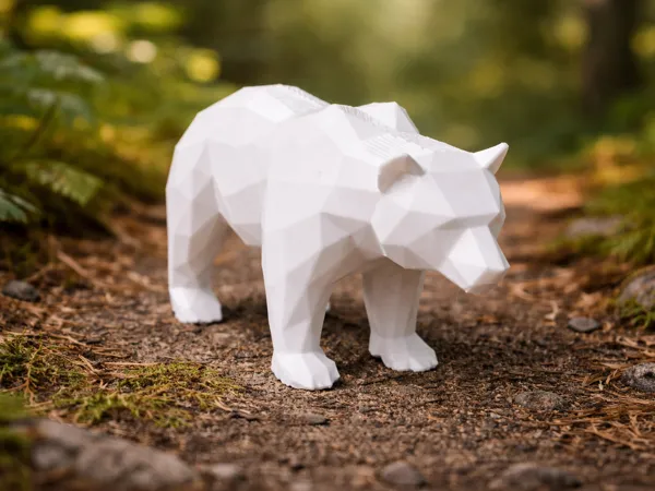 https://makerworld.bblmw.com/makerworld/model/US3d0cc6d871c61e/design/da5654499b8633de.png