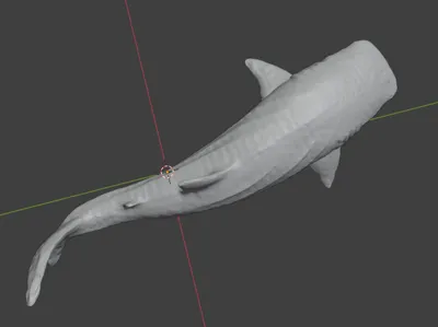 Whale Shark