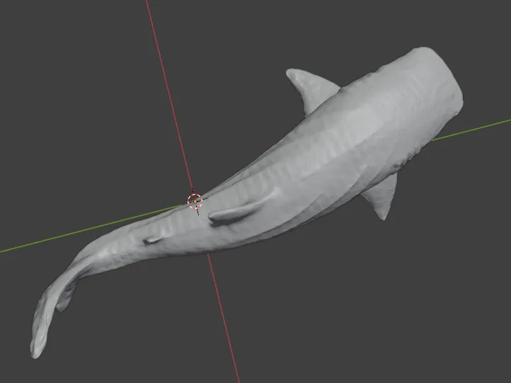 Whale Shark
