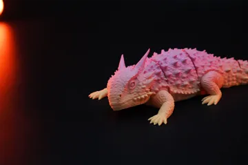 Letrero o emblema decorativo: Realistic Horned Lizard — vista de referencia 3