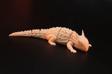 Letrero o emblema decorativo: Realistic Horned Lizard — vista de referencia 2