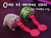 Coins of various sizes for the chubby frog