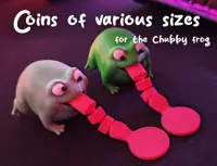 Coins of various sizes for the chubby frog