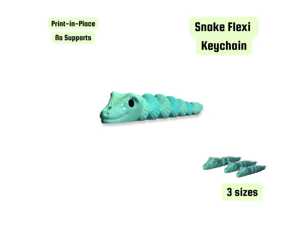 https://makerworld.bblmw.com/makerworld/model/US3d151d5da323ca/design/2025-03-22_ad112ae098804.png