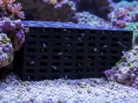0.2mm layer, 2 walls, 20% infill