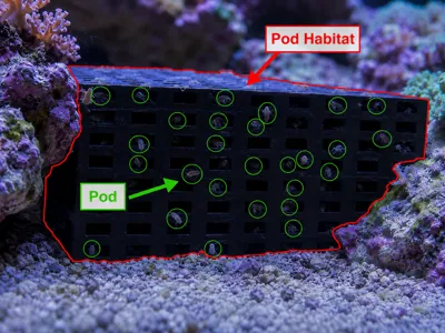 POD Habitat 