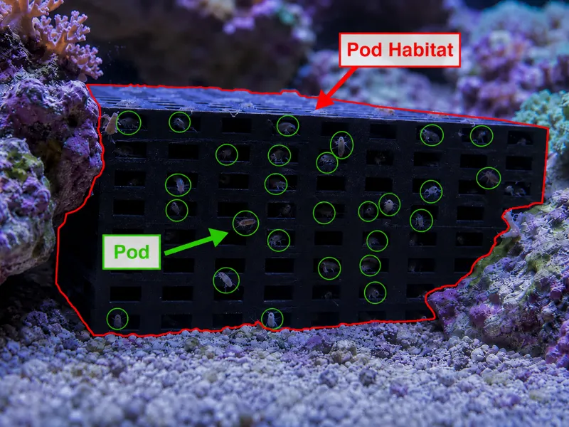 POD Habitat 