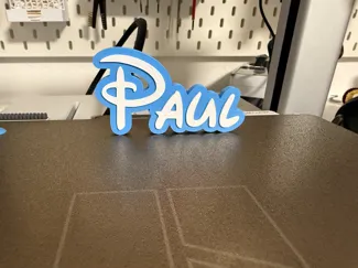 Paul in Disney Schrift