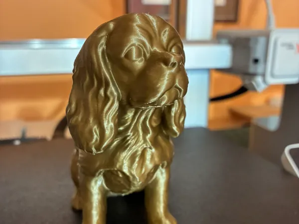 https://makerworld.bblmw.com/makerworld/model/US3d19aa11b8ed2a/design/877b6ca5858a9a15.jpeg