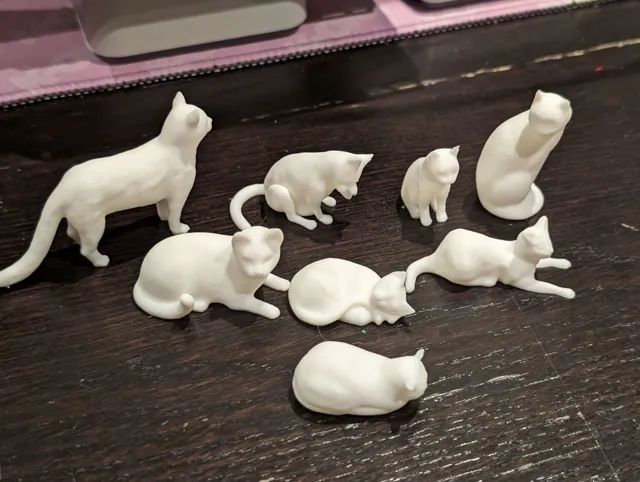 Assorted Cats